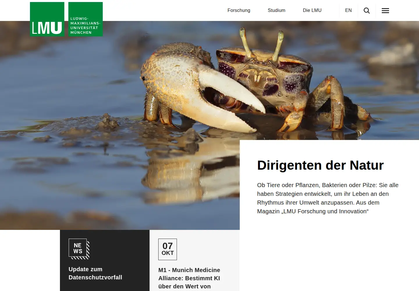 Screenshot of lmu.de