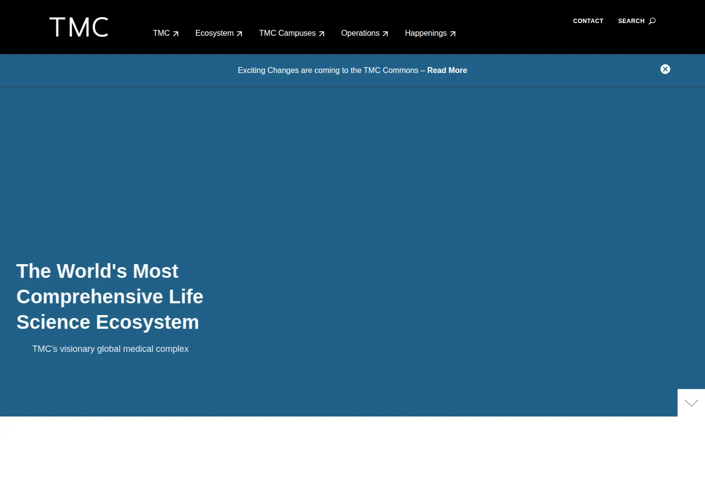 Screenshot of tmc.edu