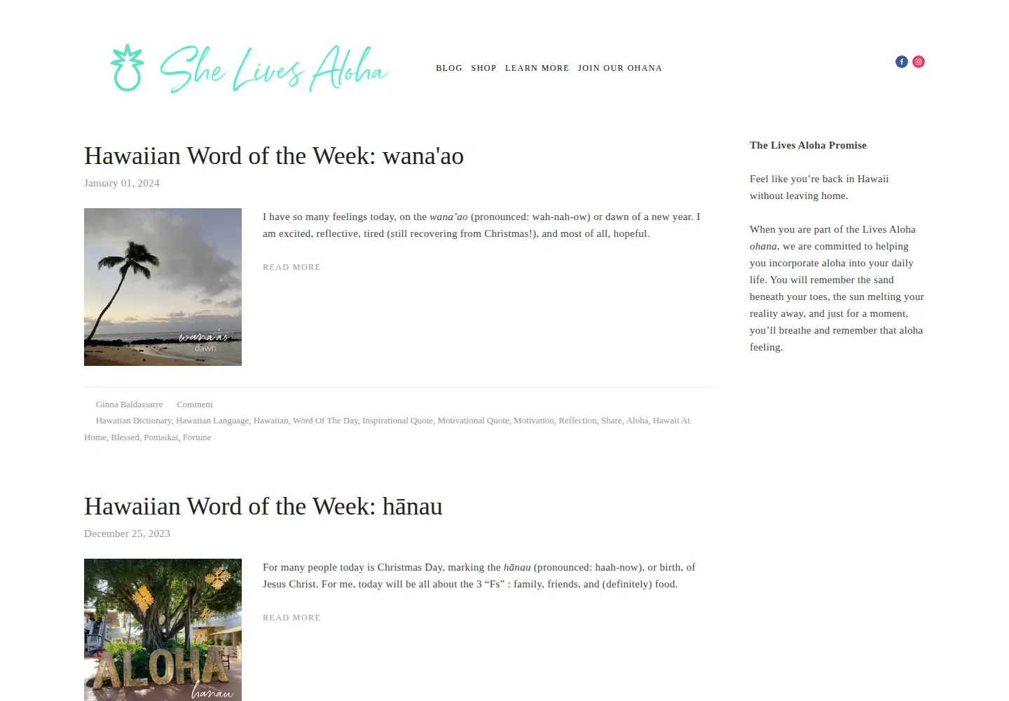 Screenshot of shelivesaloha.com