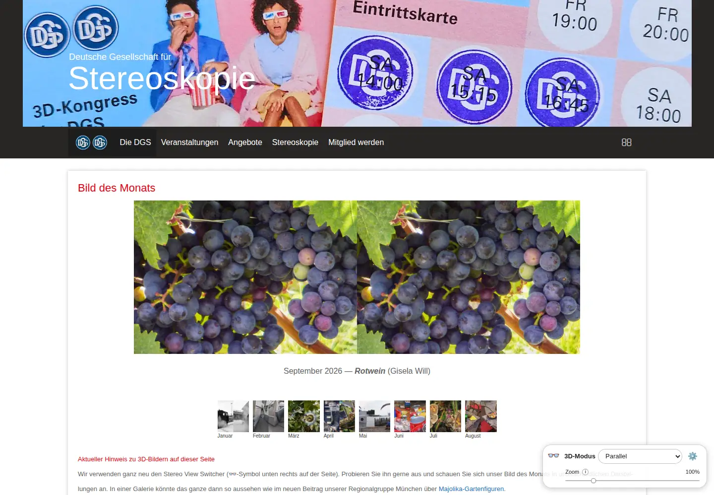 Captured homepage of stereoskopie.org in the current scan