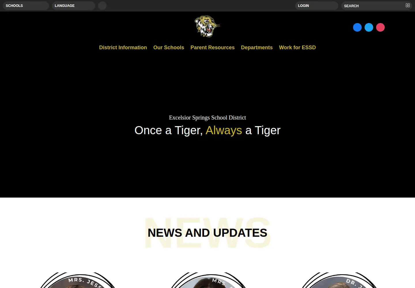 Captured homepage of essd40.com in the current scan