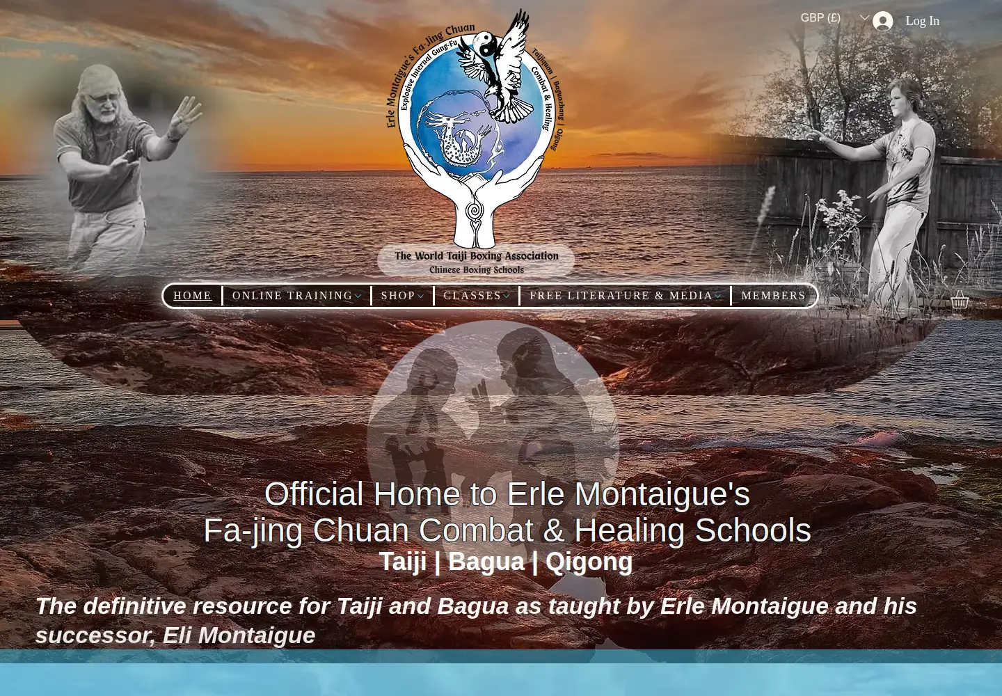 Captured homepage of taijiworld.com in the current scan