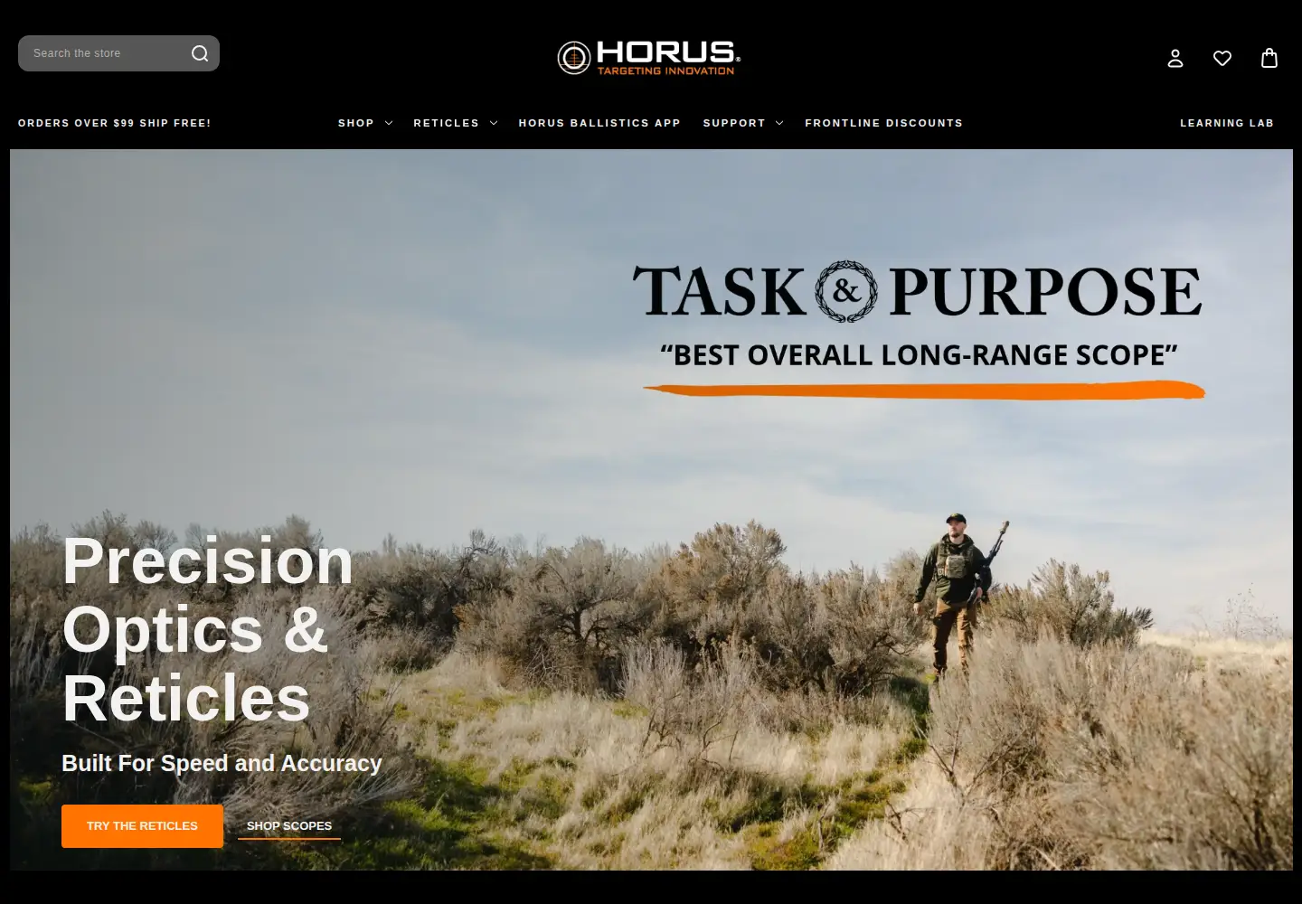 Captured homepage of horusvision.com in the current scan