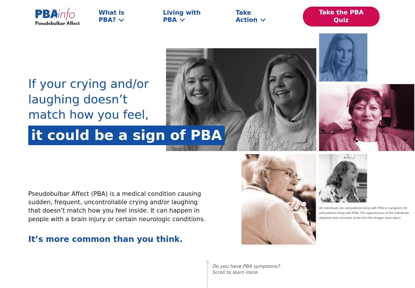 Screenshot of pbainfo.org