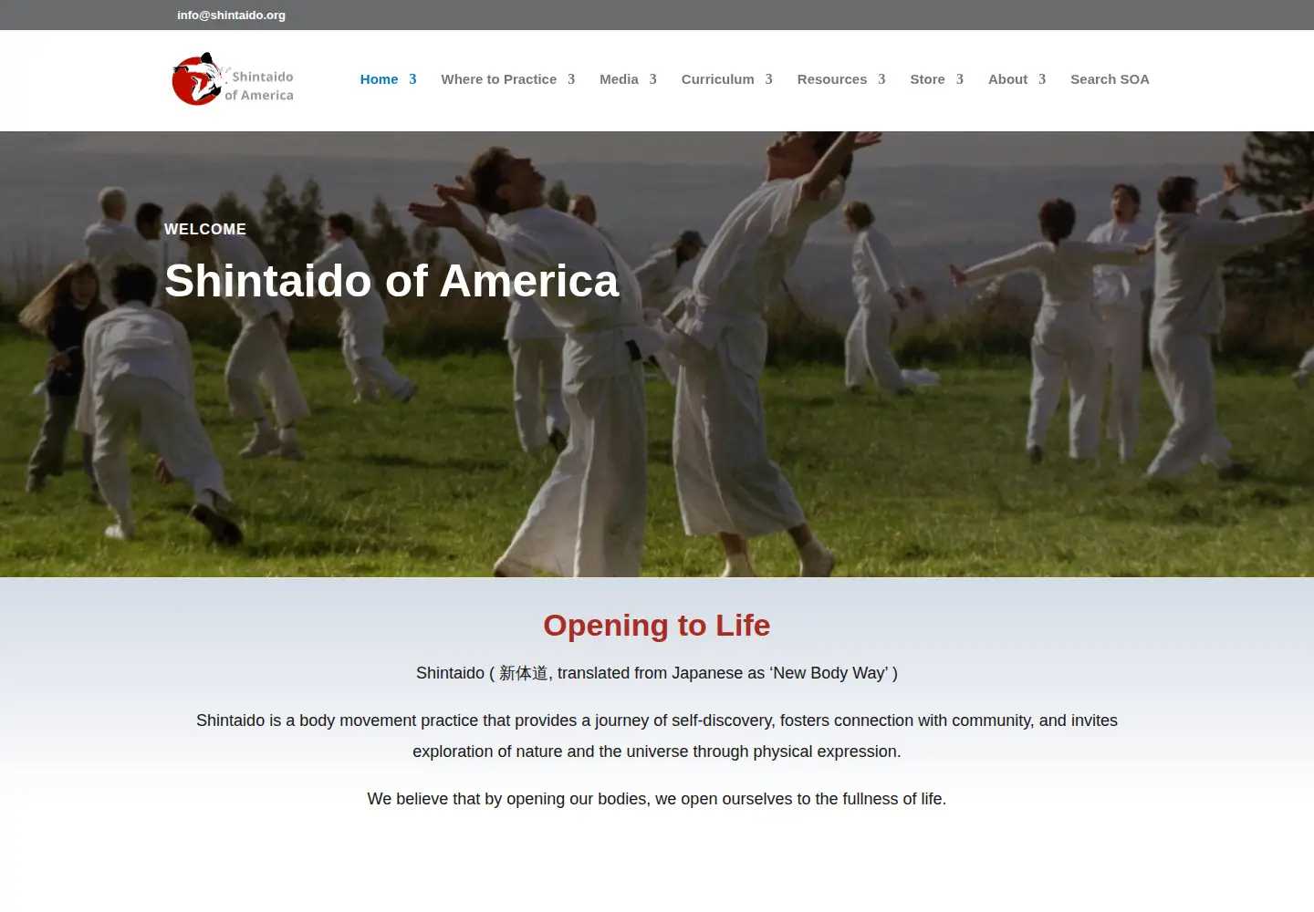 Screenshot of shintaido.org
