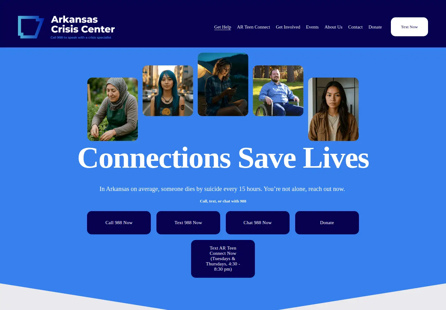 Captured homepage of arcrisis.org in the current scan