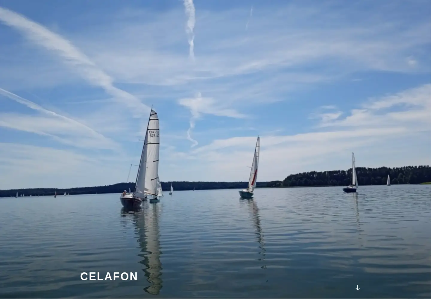 Captured homepage of celafon.pl in the current scan