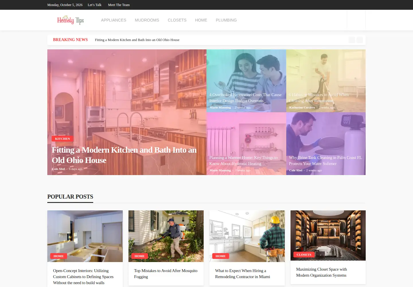 Screenshot of homelytips.com