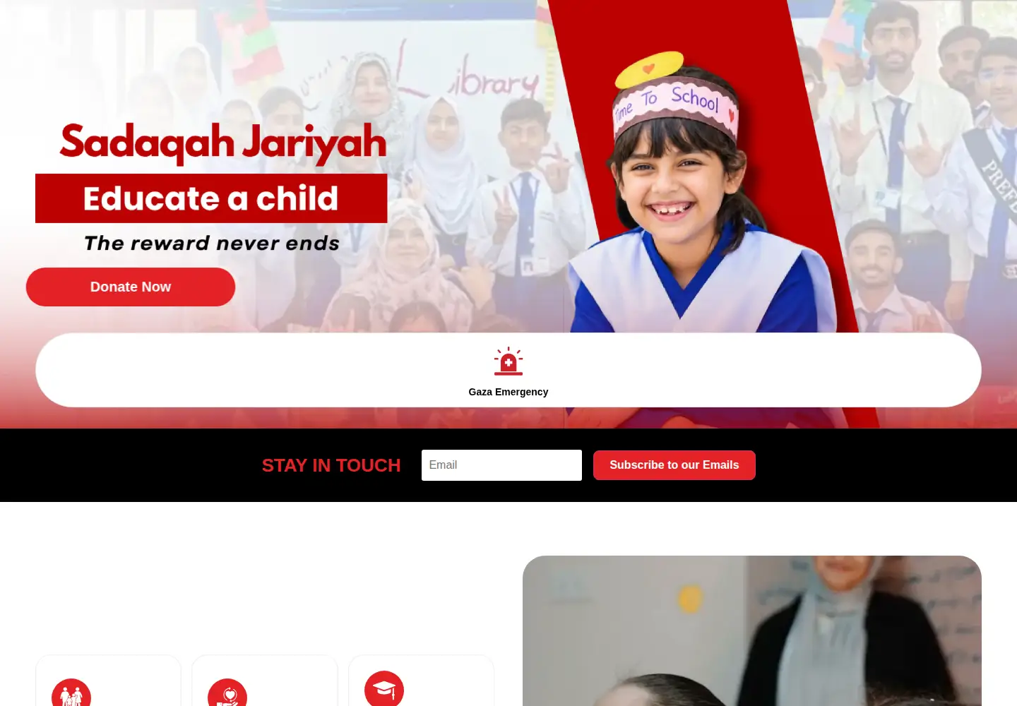 Captured homepage of humanconcern.org in the current scan