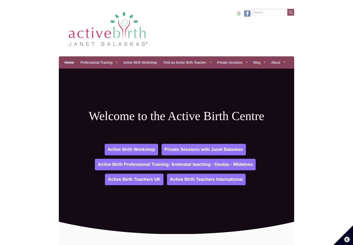 Captured homepage of activebirthcentre.com in the current scan