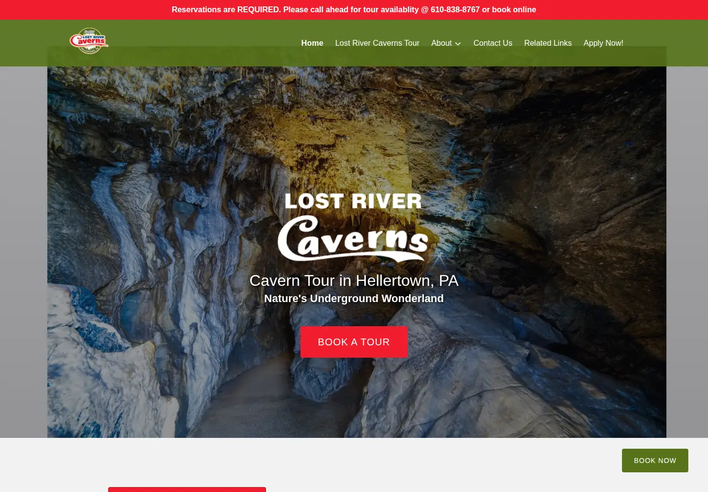 Screenshot of lostcave.com