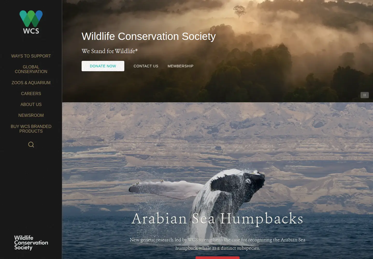 Screenshot of wcs.org