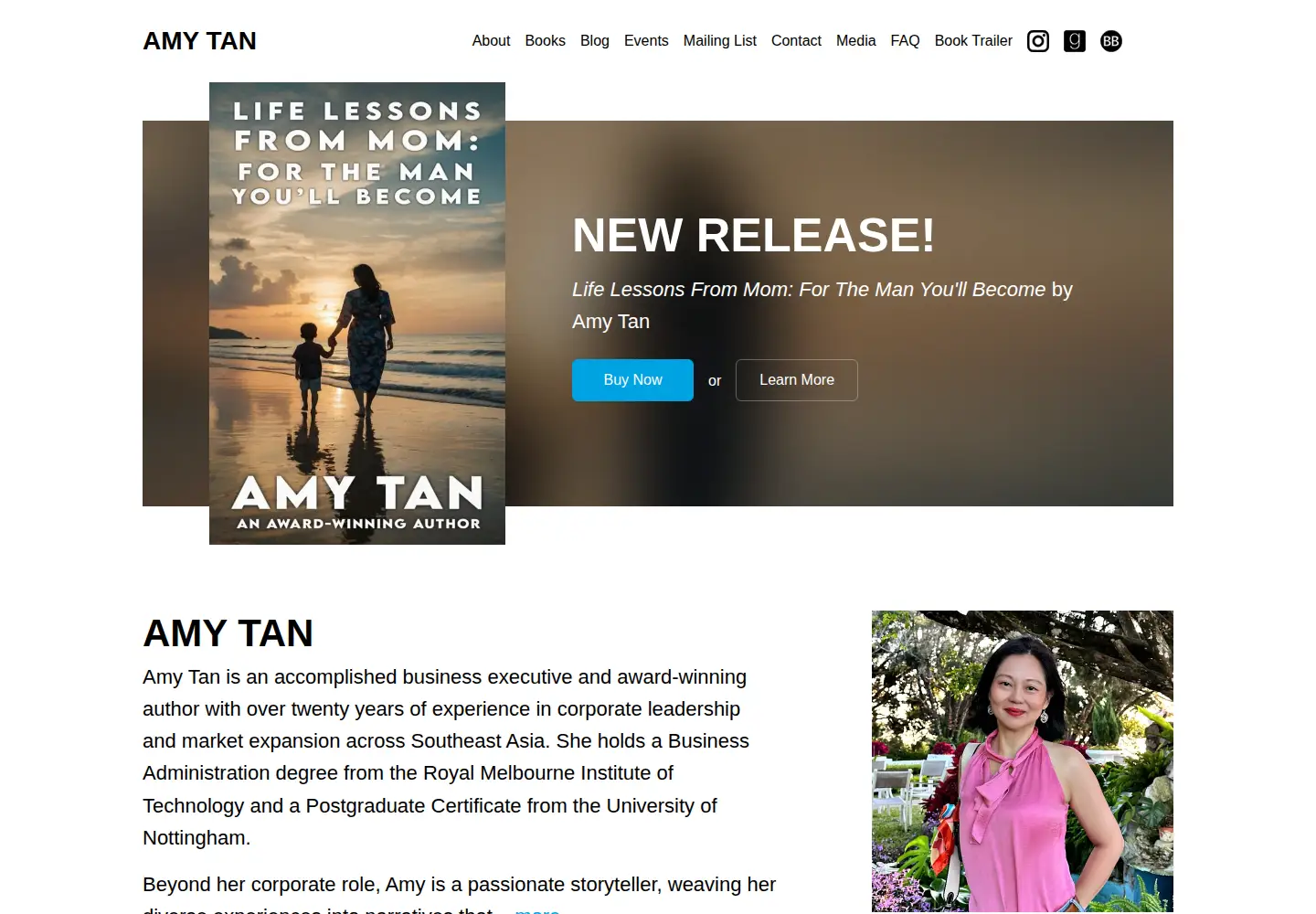 Captured homepage of amytanbooks.com in the current scan