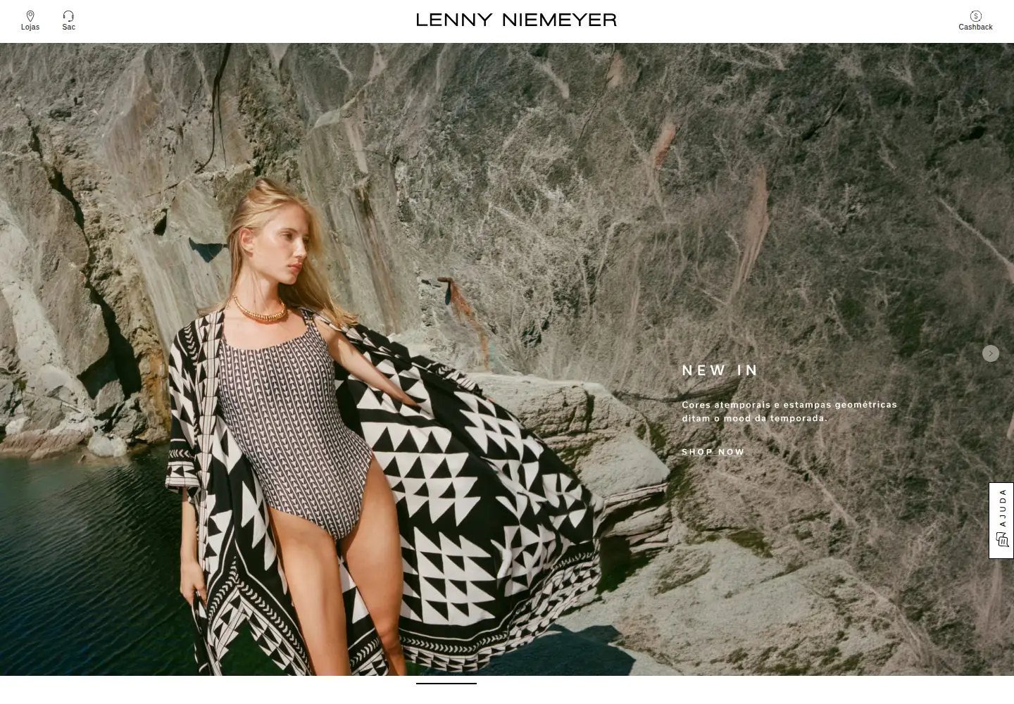 Captured homepage of lennyniemeyer.com.br in the current scan