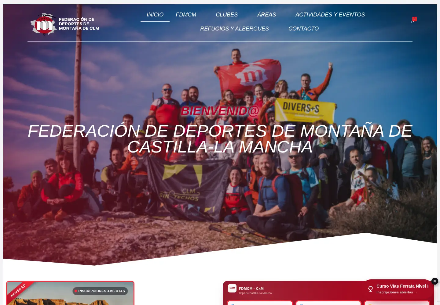 Screenshot of fdmcm.com