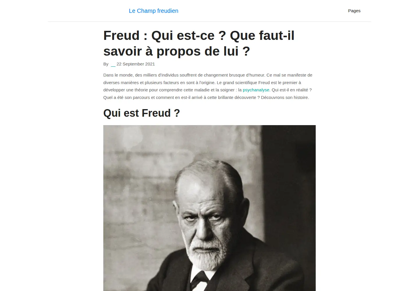 Screenshot of ch-freudien-be.org