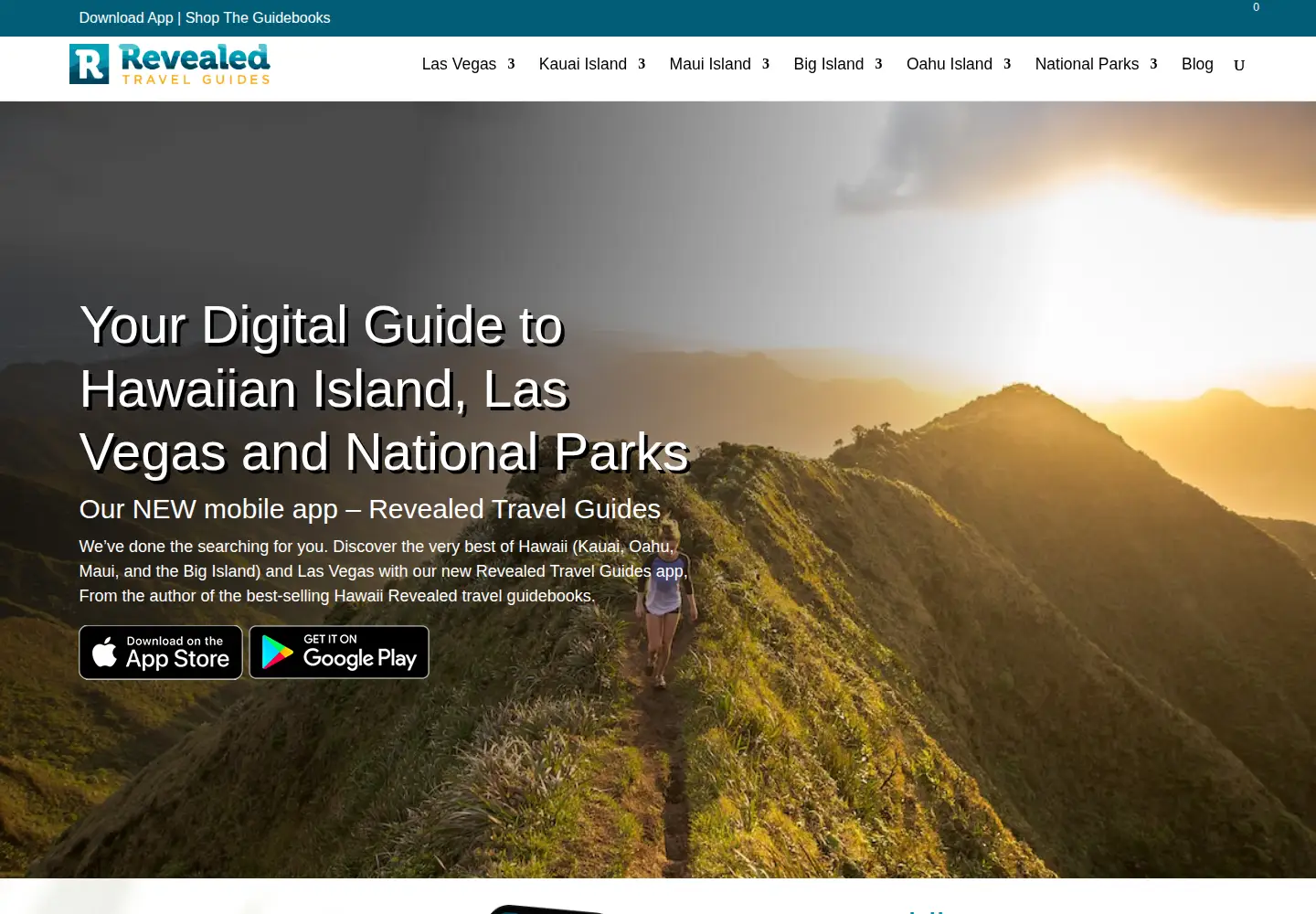 Captured homepage of revealedtravelguides.com in the current scan