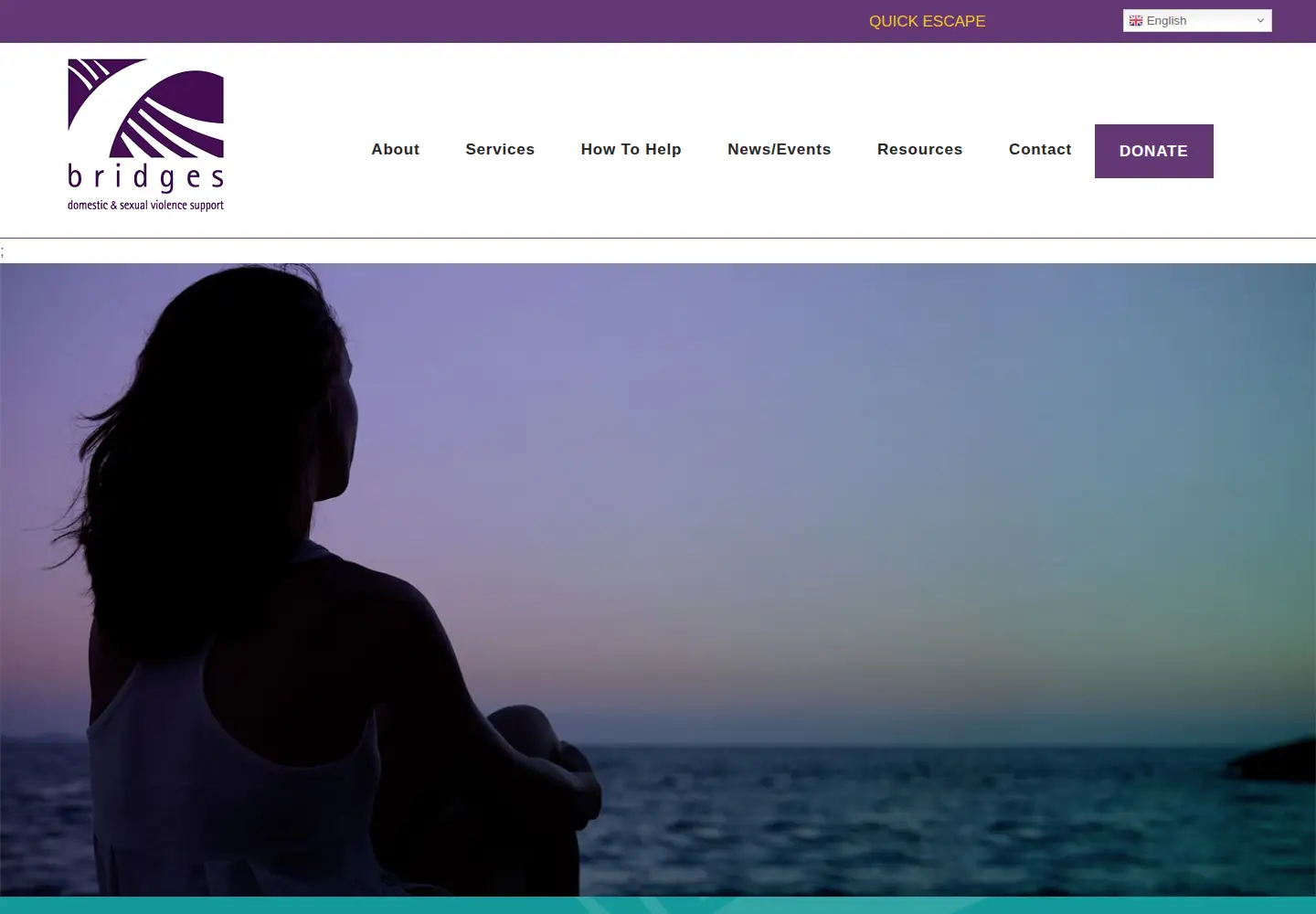 Captured homepage of bridgesnh.org in the current scan