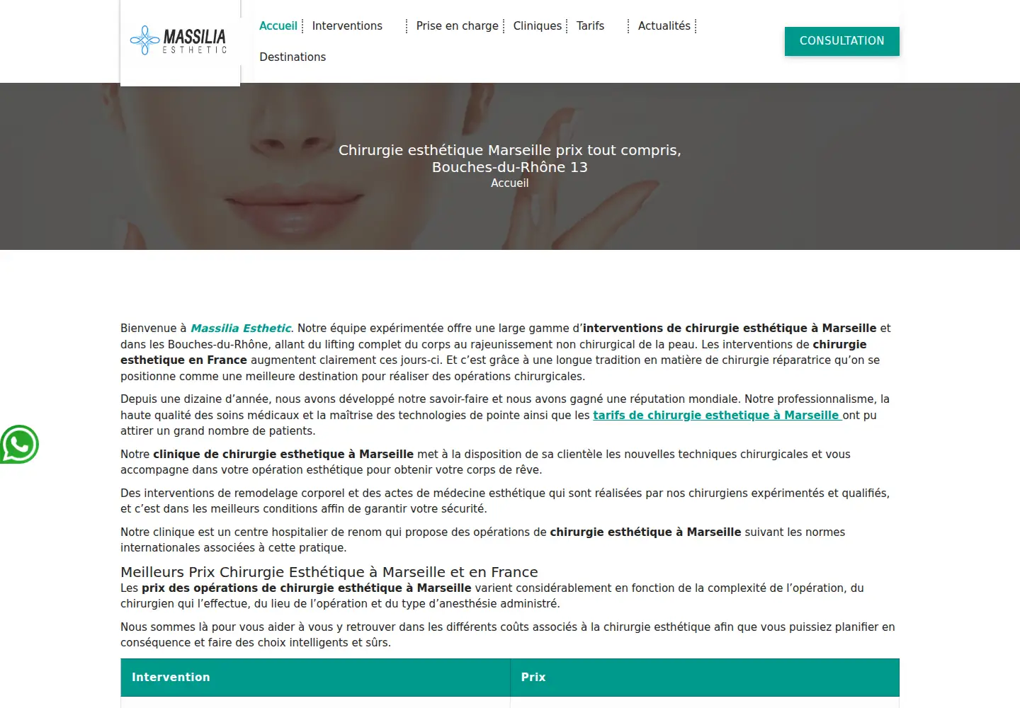 Captured homepage of chirurgie-plastique-france.com in the current scan