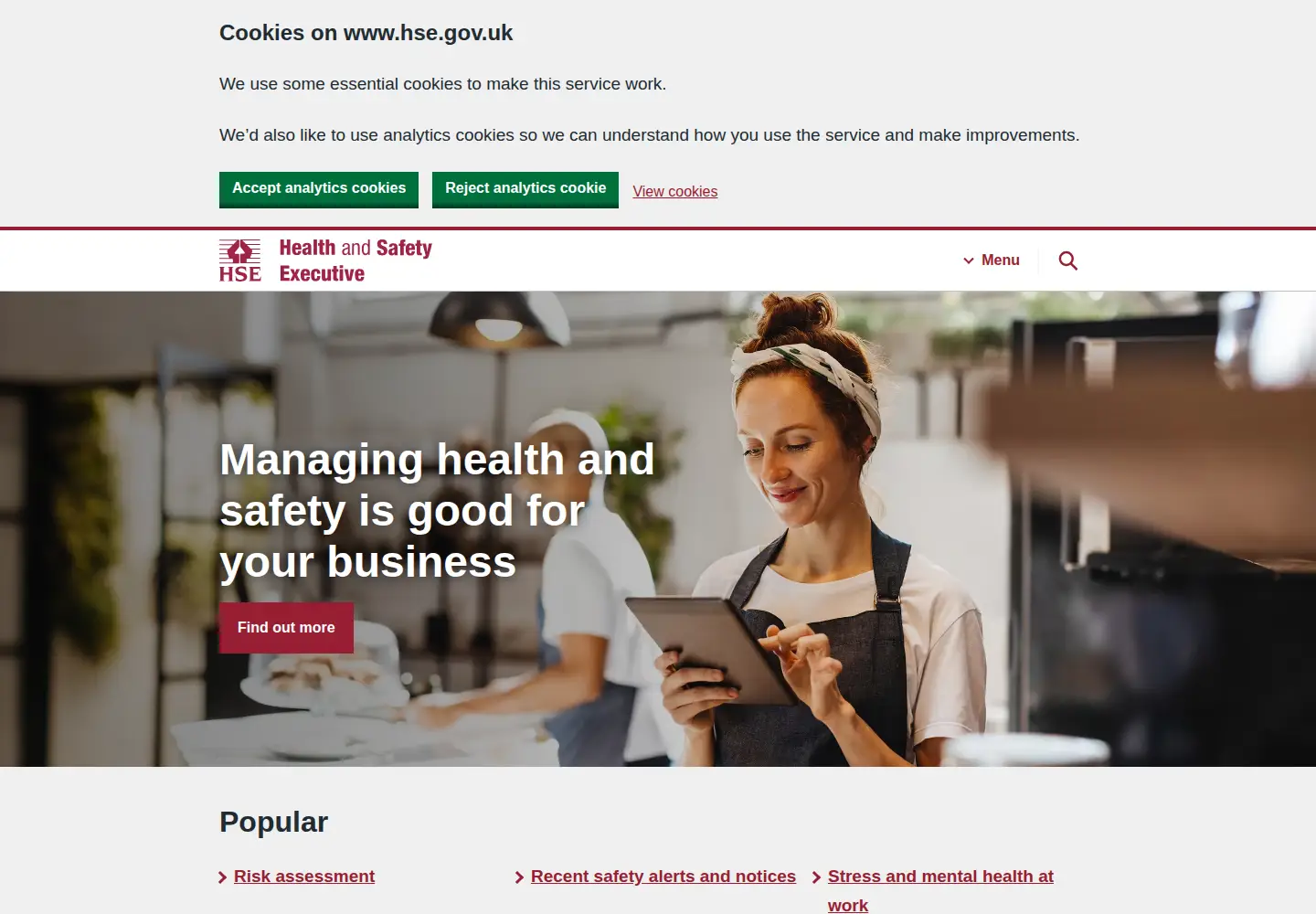 Screenshot of hse.gov.uk