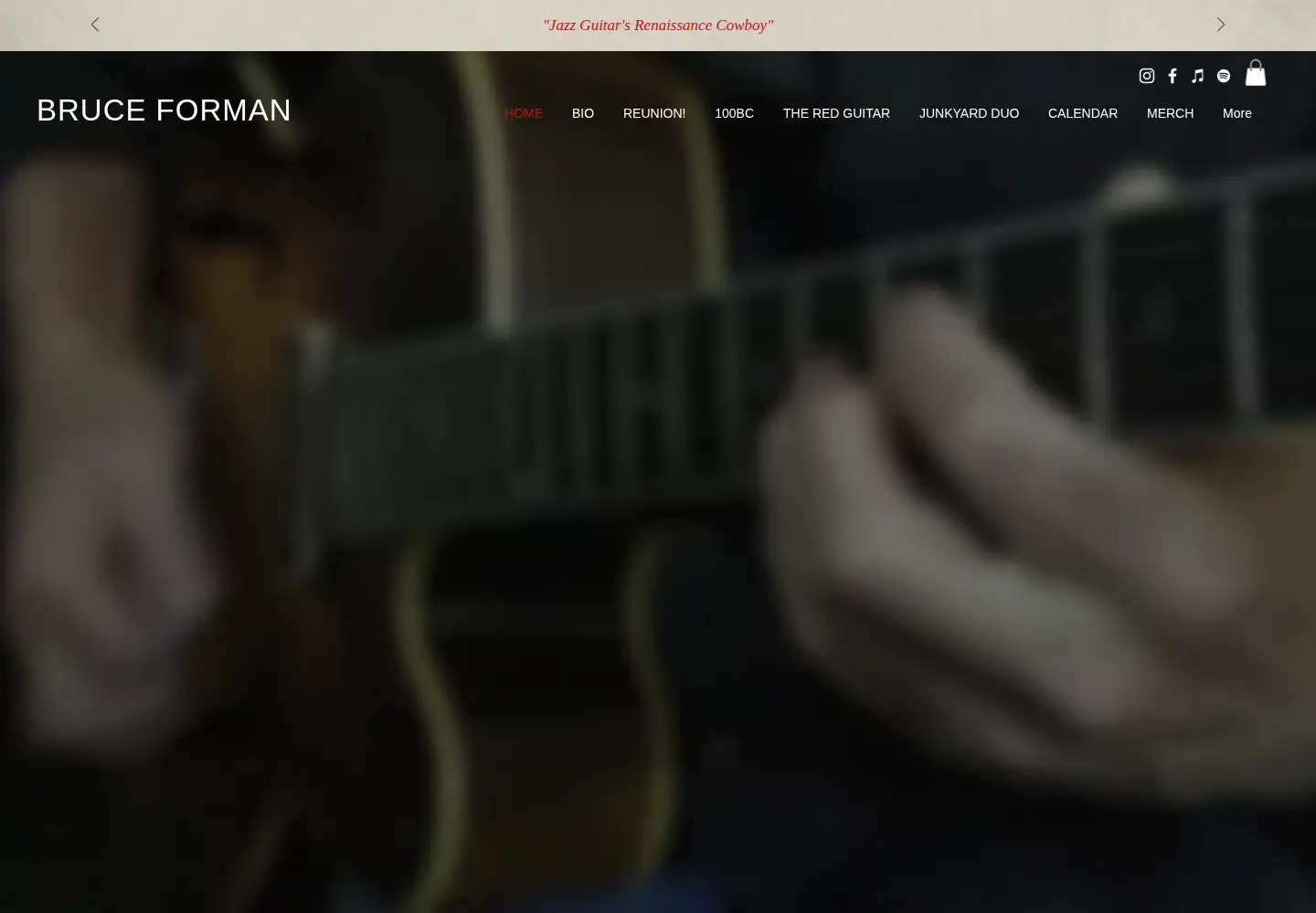 Screenshot of bruceforman.com