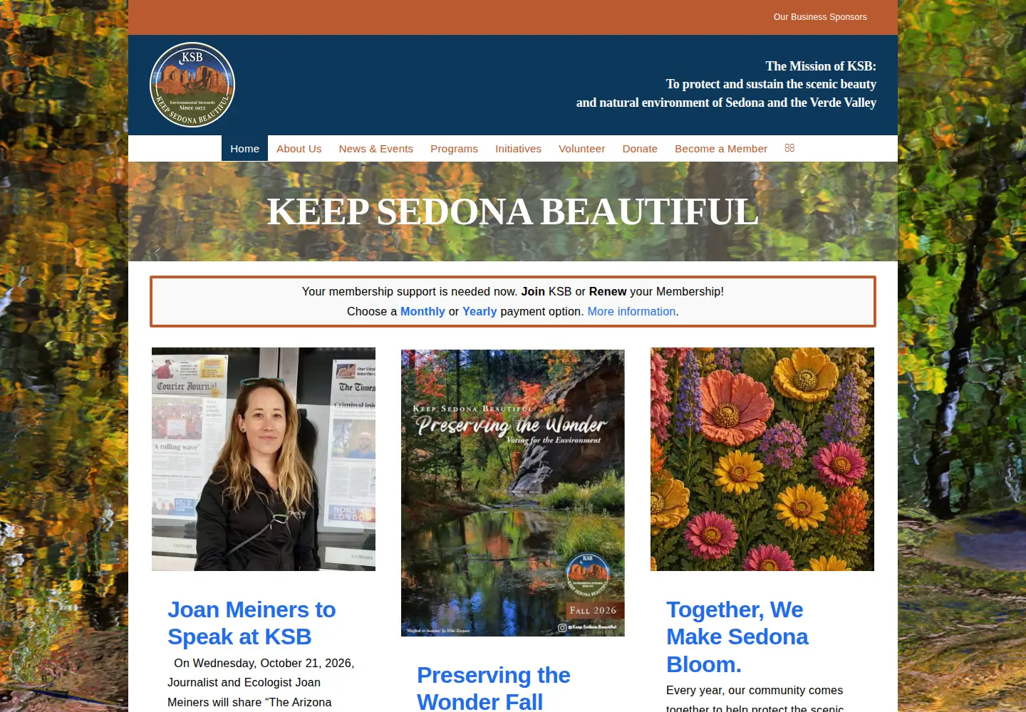 Screenshot of keepsedonabeautiful.org