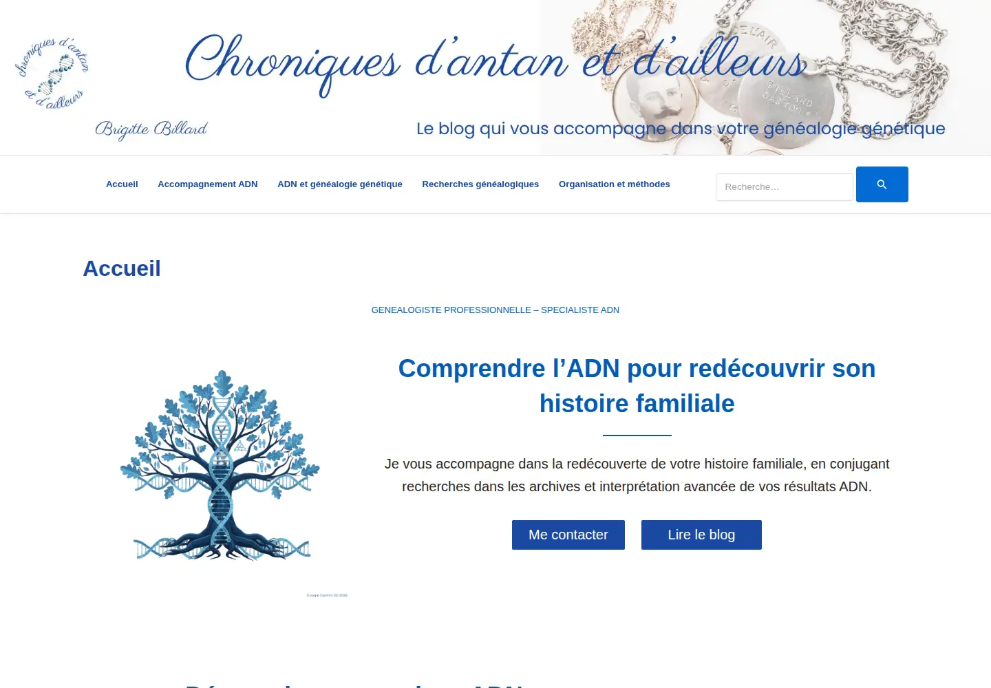 Captured homepage of chroniquesdantan.com in the current scan