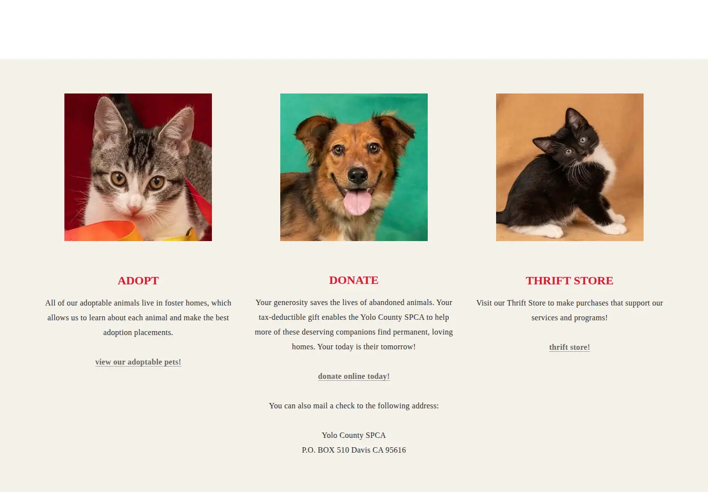 Captured homepage of yolospca.org in the current scan