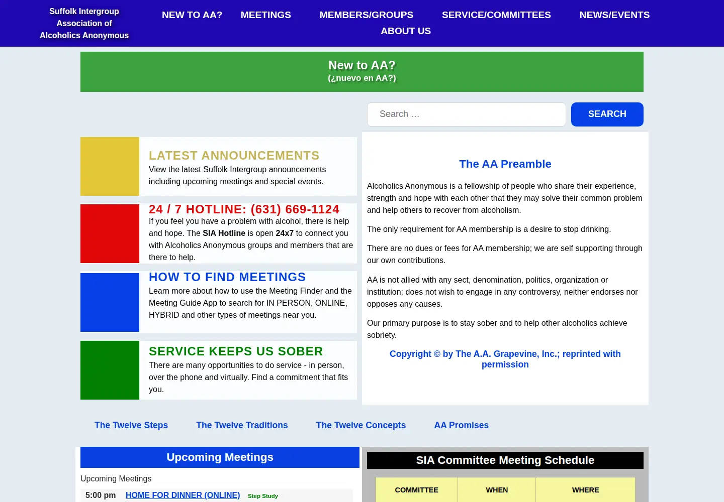 Screenshot of suffolkny-aa.org