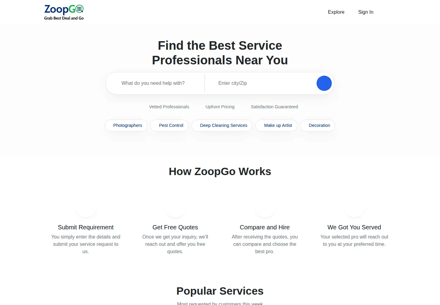 Captured homepage of zoopgo.com in the current scan