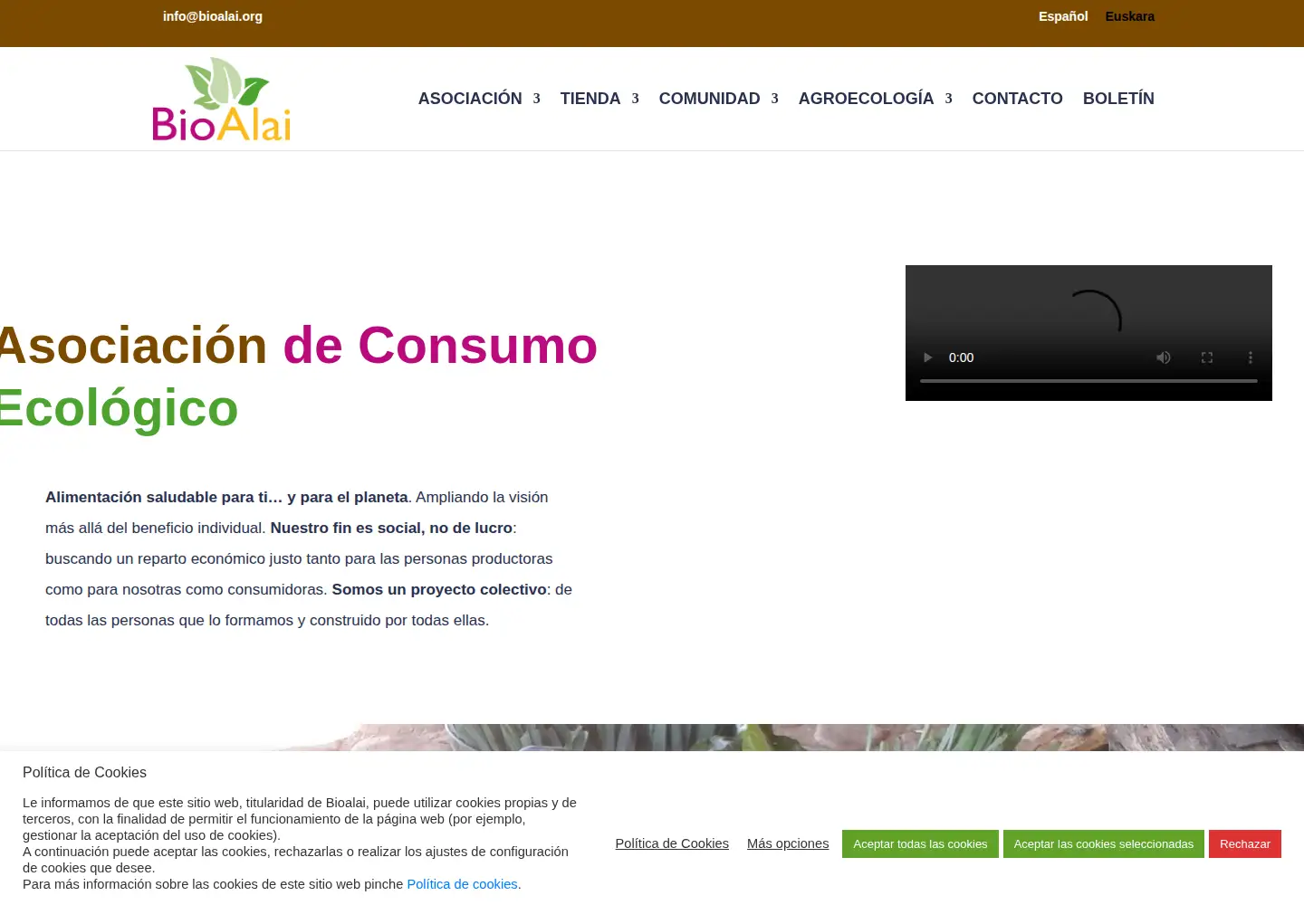 Screenshot of bioalai.org