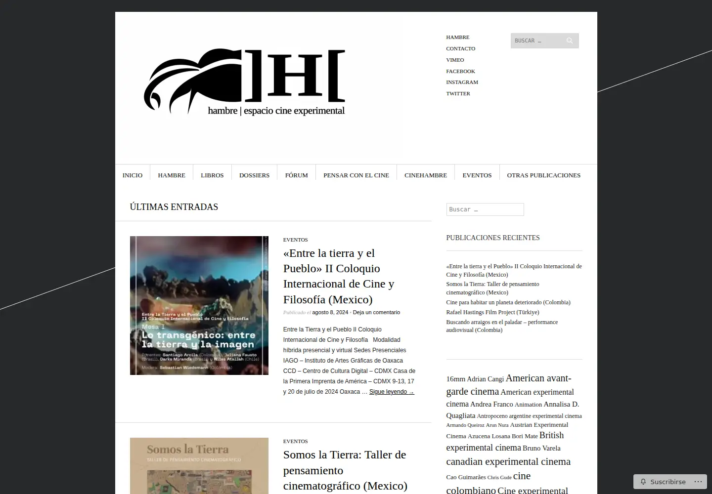 Captured homepage of hambrecine.com in the current scan