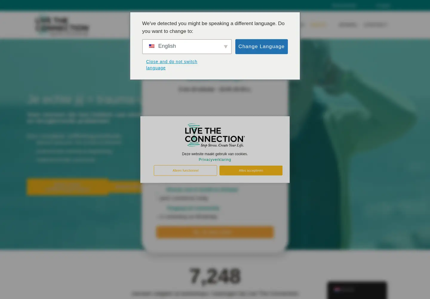 Captured homepage of livetheconnection.com in the current scan
