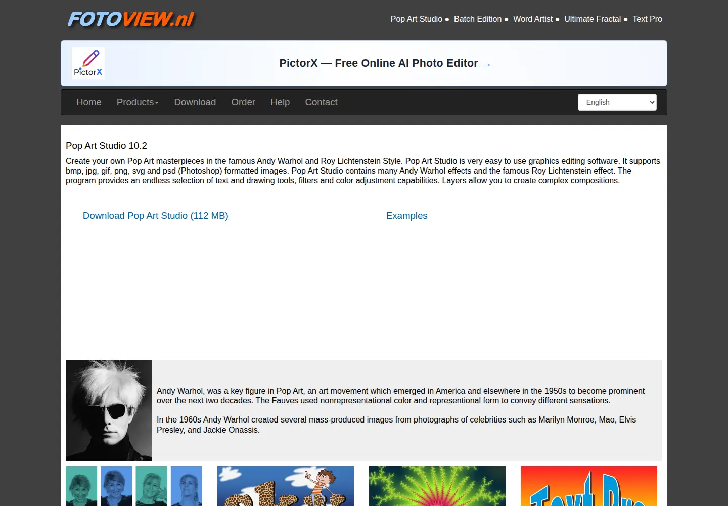 Captured homepage of fotoview.nl in the current scan