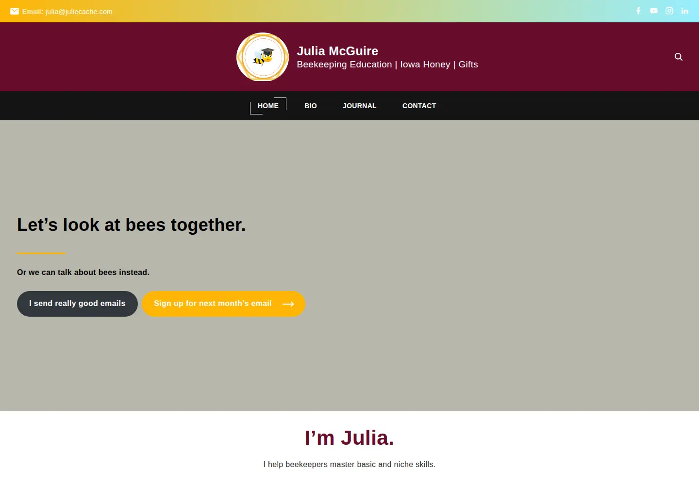 Captured homepage of juliecache.com in the current scan