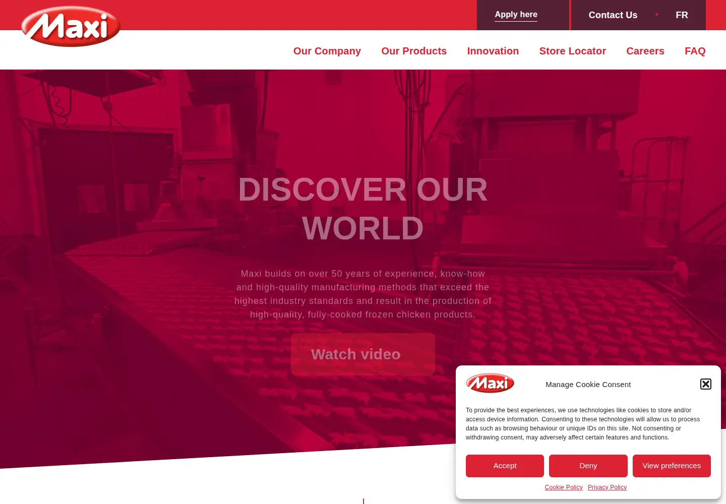 Screenshot of maxi.com