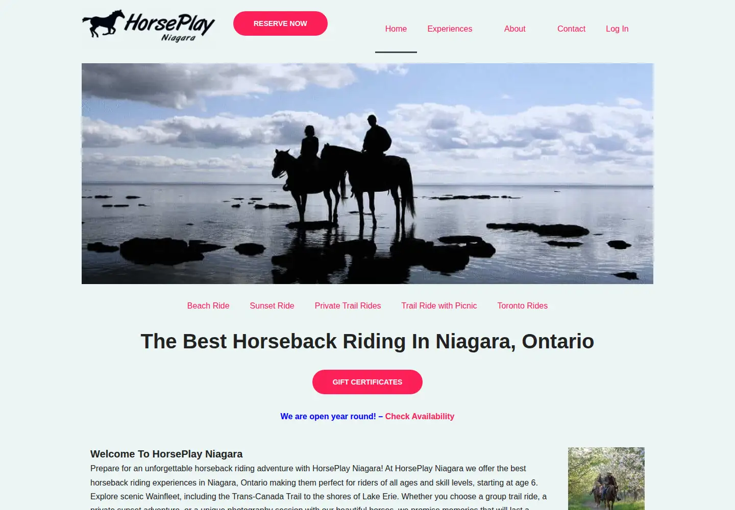 Captured homepage of horseplayniagara.com in the current scan