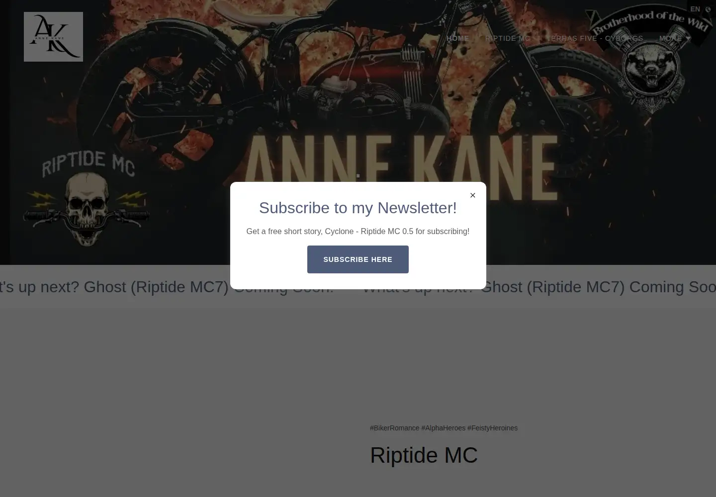 Captured homepage of annekane.com in the current scan