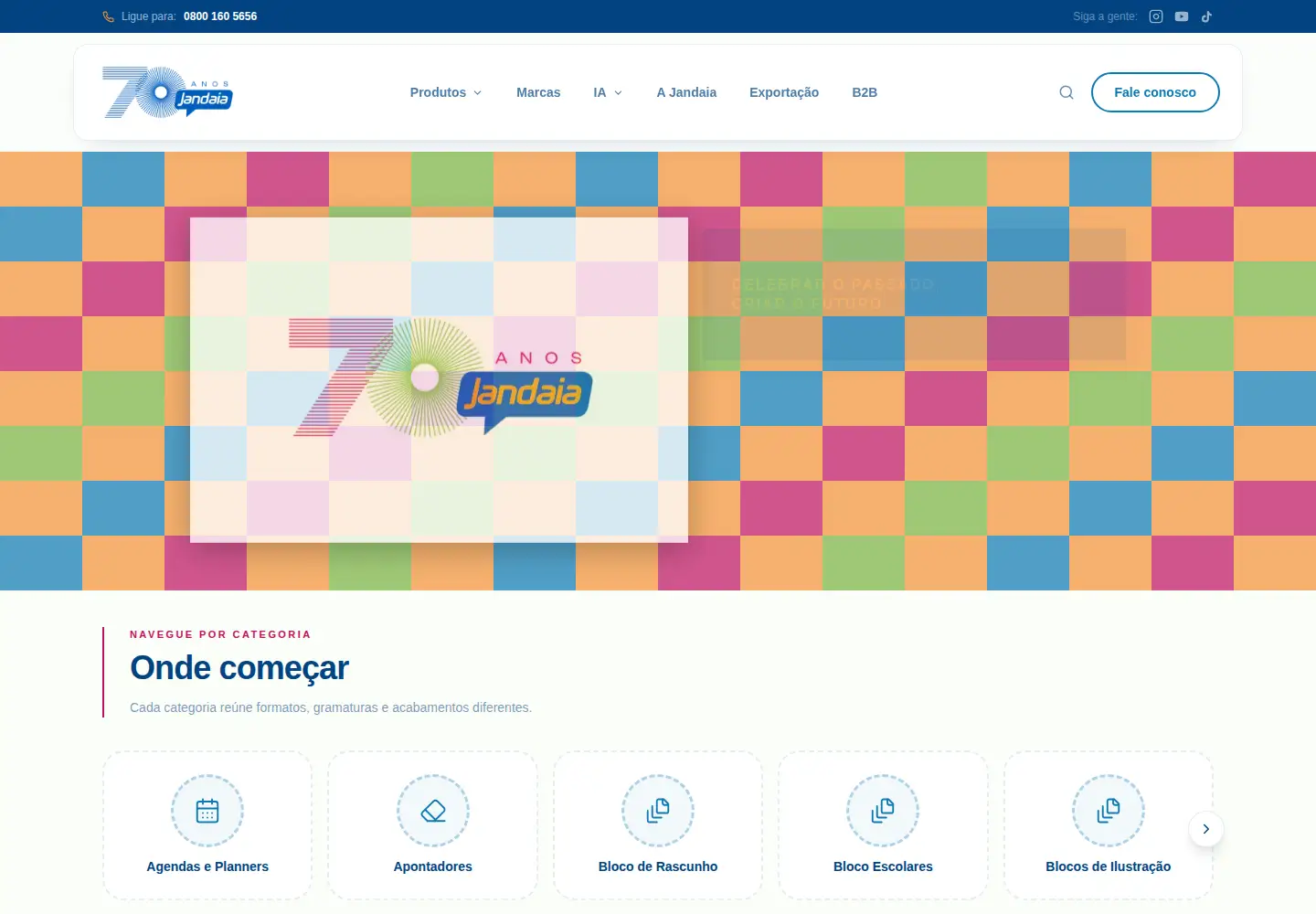 Screenshot of jandaia.com