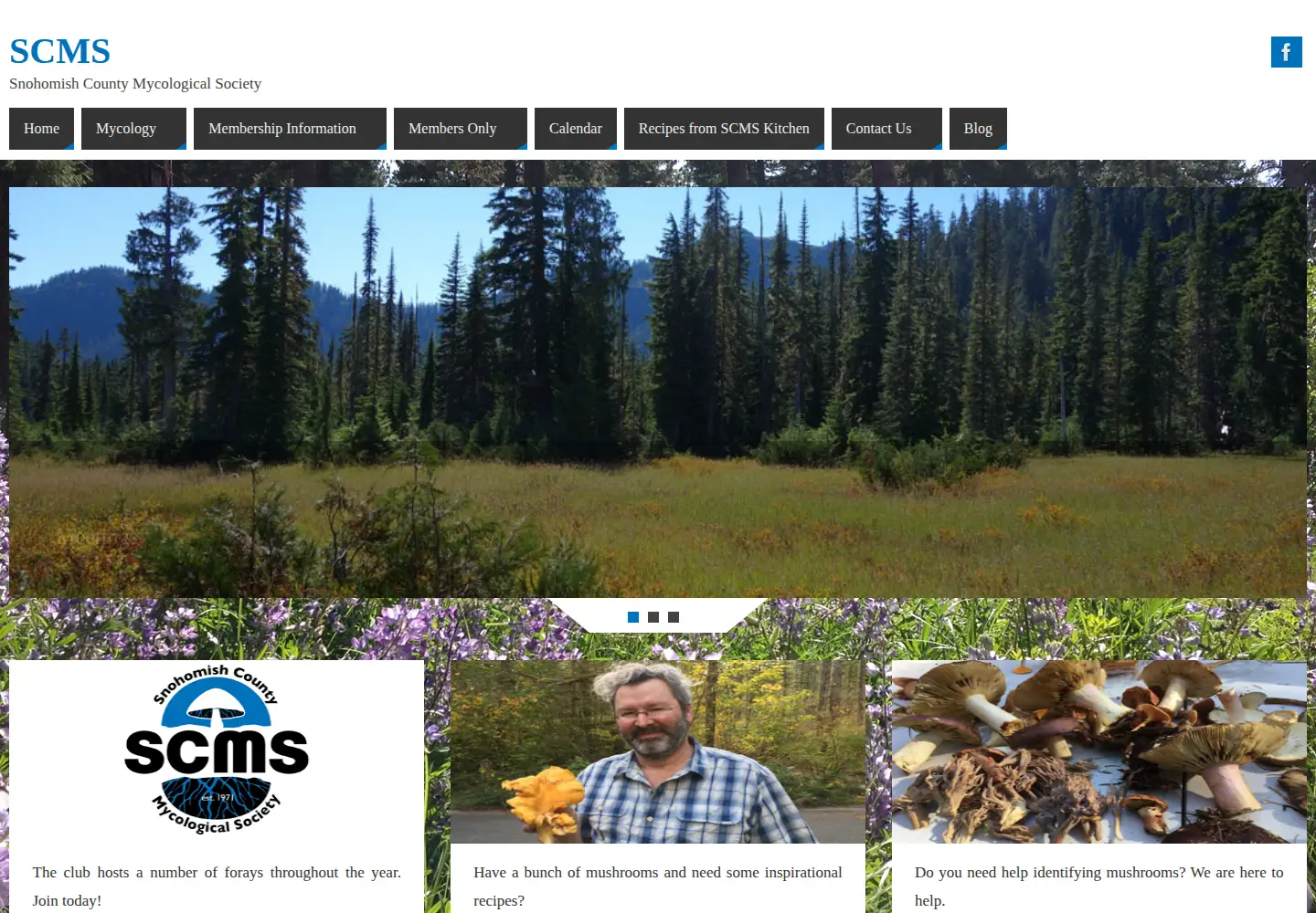 Screenshot of scmsfungi.org