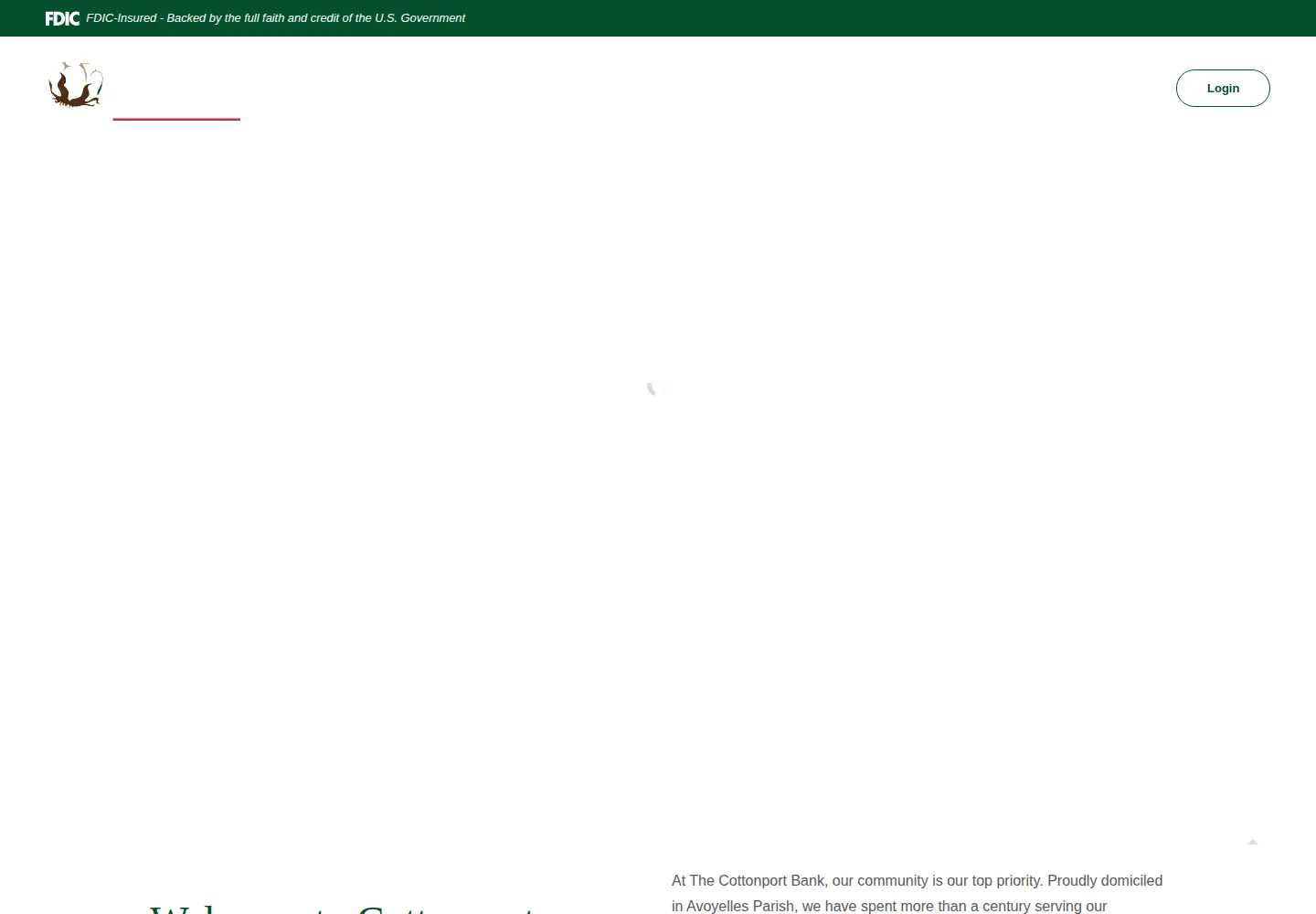 Captured homepage of cottonportbank.com in the current scan