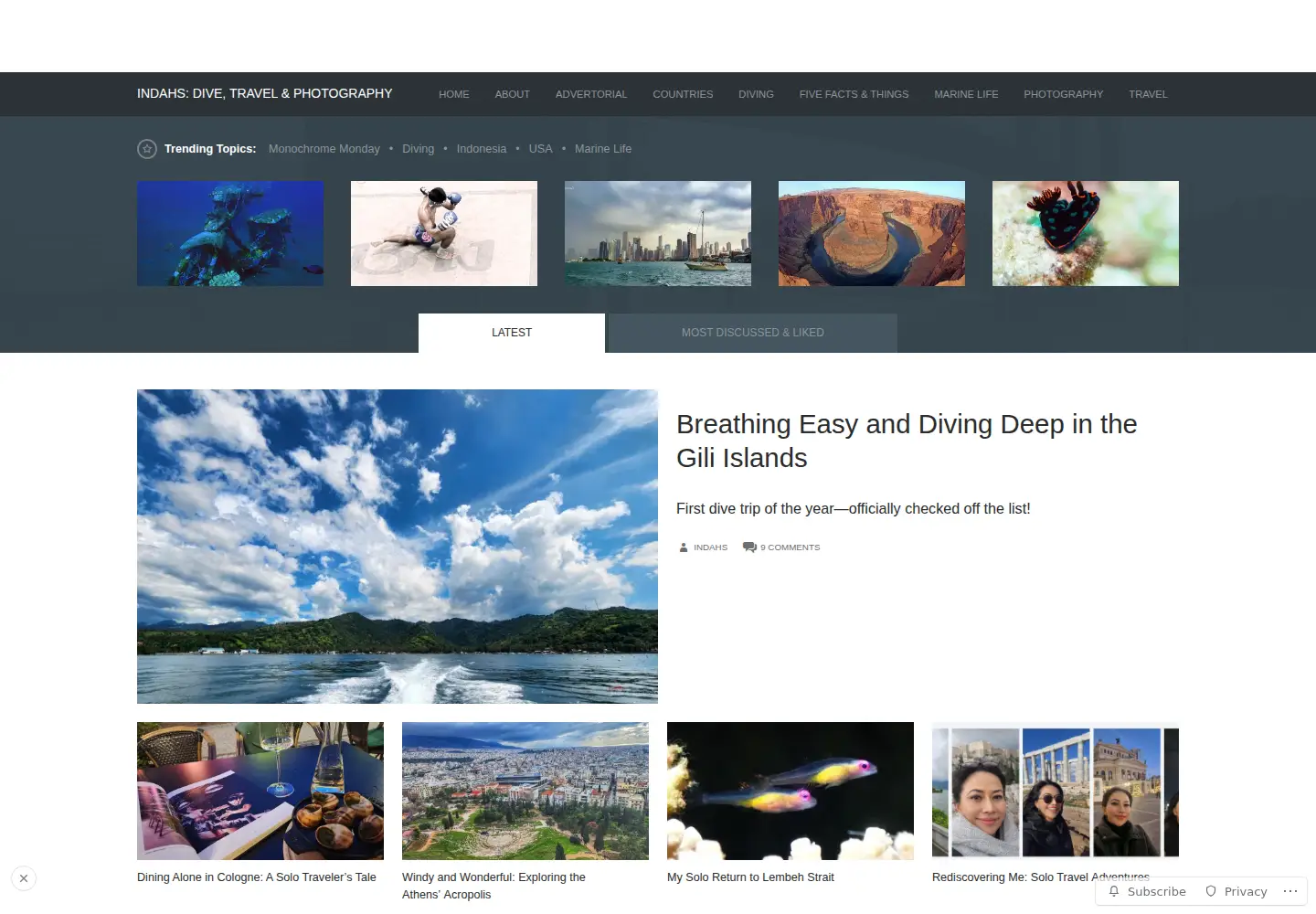 Screenshot of indahs.com