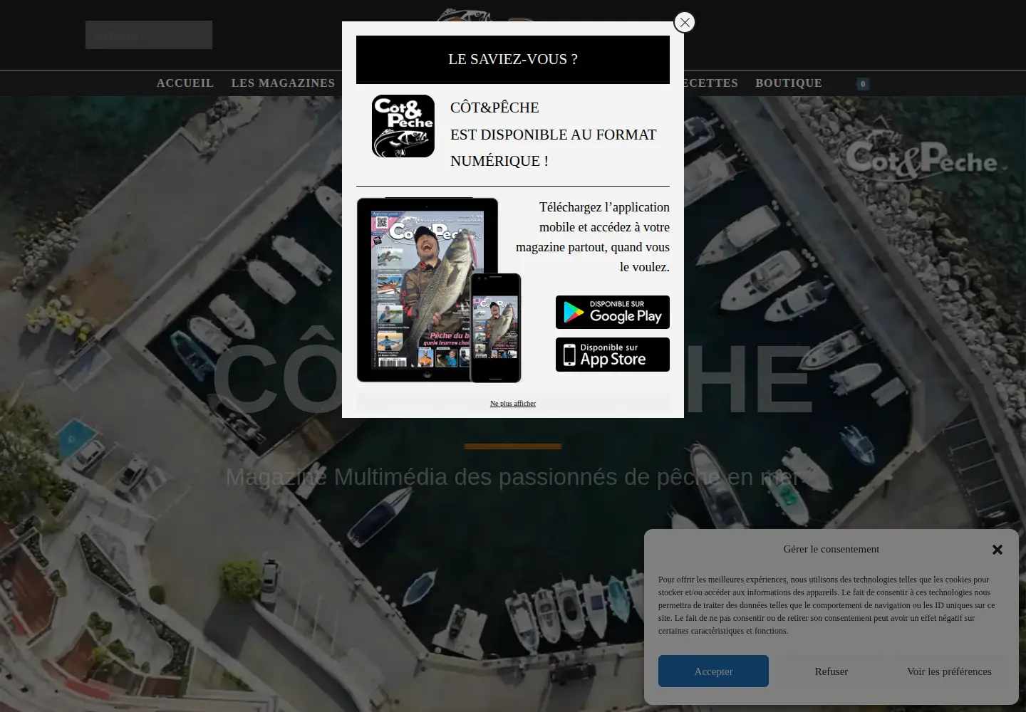 Screenshot of cotepeche.fr