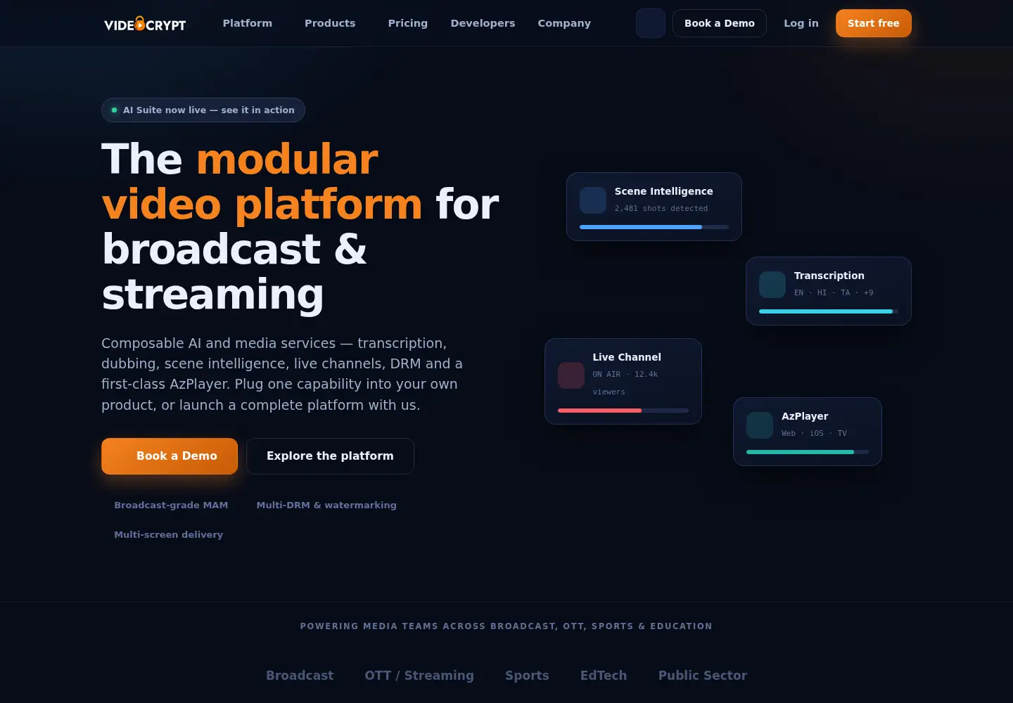 Captured homepage of videocrypt.in in the current scan