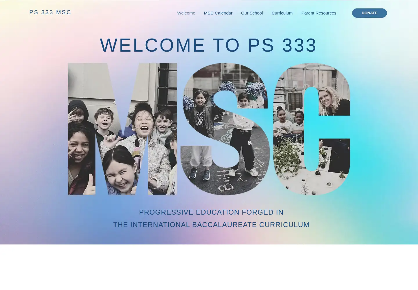 Captured homepage of ps333.org in the current scan