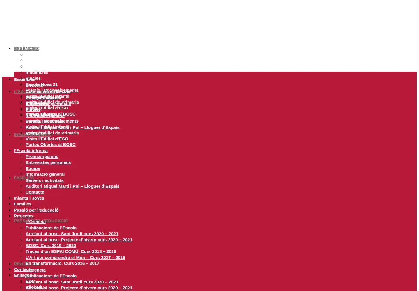 Screenshot of escolaelpuig.cat