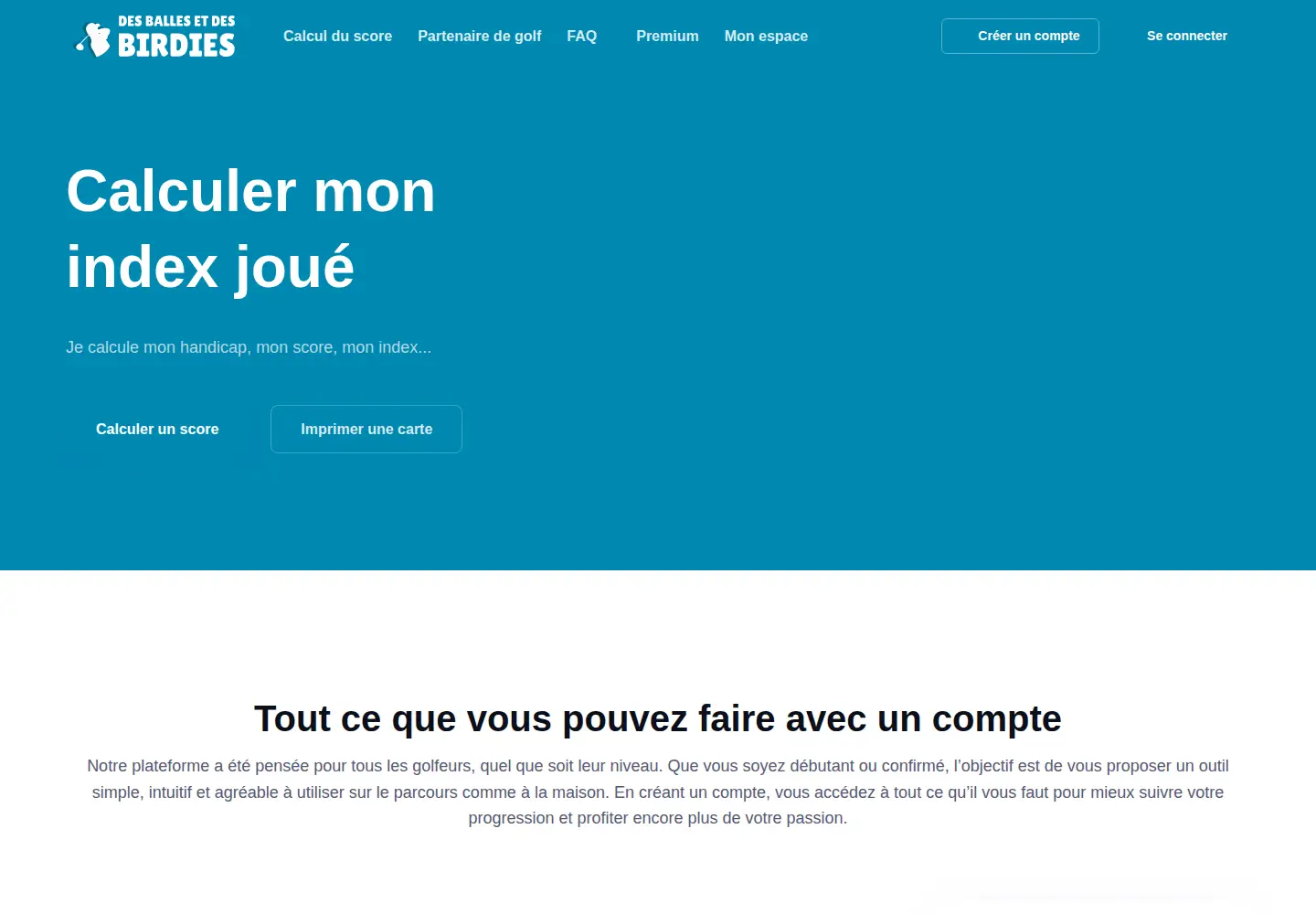 Screenshot of des-balles-et-des-birdies.com
