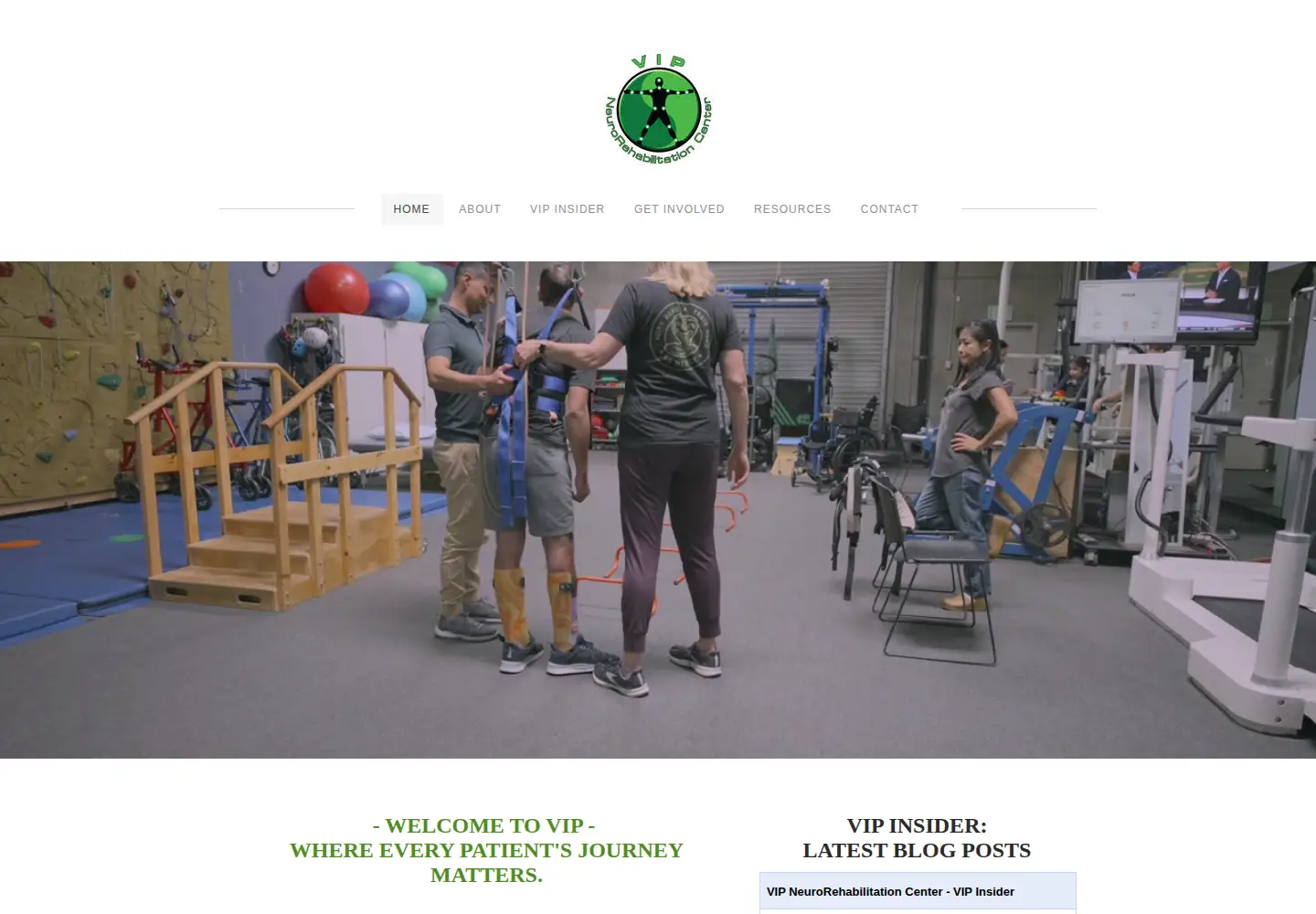 Captured homepage of vipneurorehab.org in the current scan