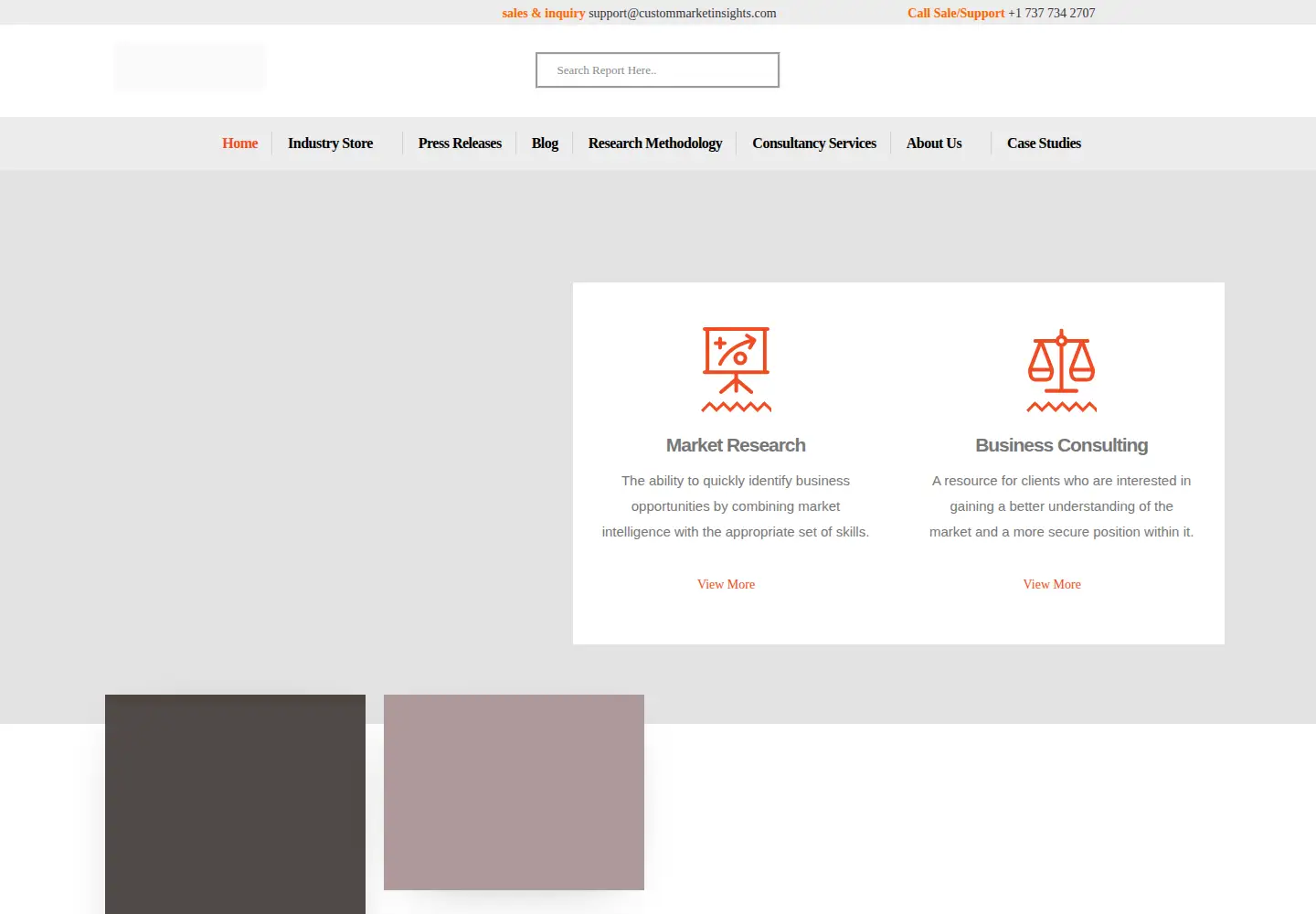 Screenshot of custommarketinsights.com