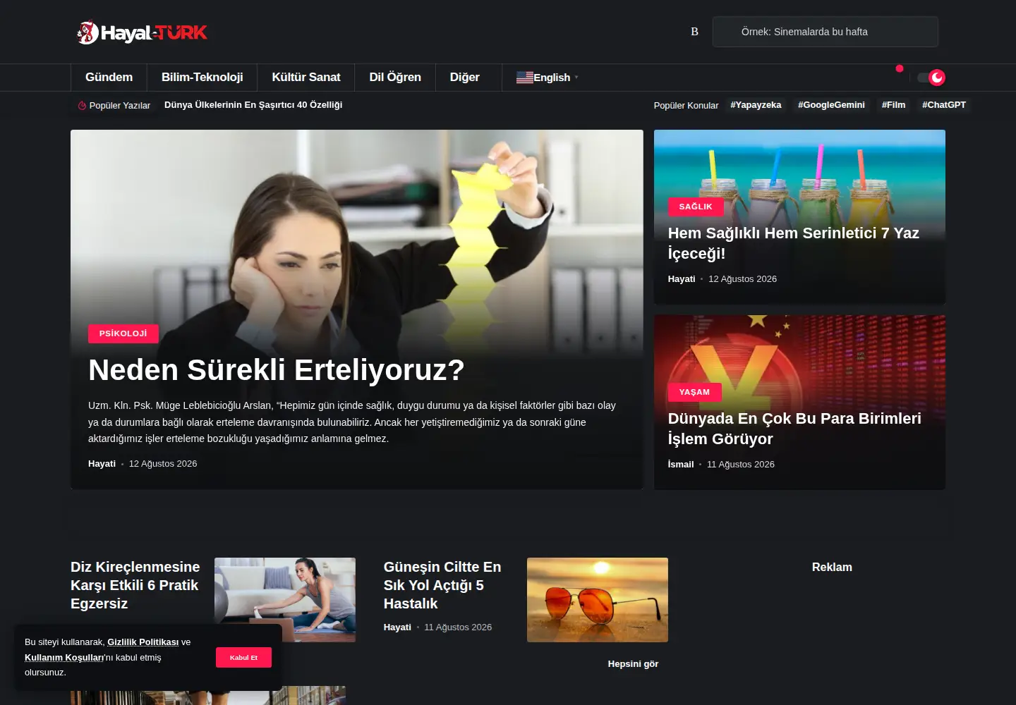 Screenshot of hayaleturk.com